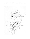 Interchangeable attachments for accessories for pets diagram and image