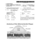 Scoring Method for Imaging-Based Detection of Vulnerable Patients diagram and image