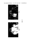 SYSTEMS AND METHODS FOR RULE-BASED SEGMENTATION FOR OBJECTS WITH FULL OR PARTIAL FRONTAL VIEW IN COLOR IMAGES diagram and image