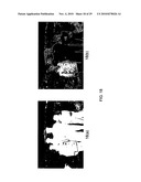 SYSTEMS AND METHODS FOR RULE-BASED SEGMENTATION FOR OBJECTS WITH FULL OR PARTIAL FRONTAL VIEW IN COLOR IMAGES diagram and image