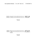 METHOD AND SYSTEM FOR PROCESSING TEXT diagram and image