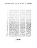 Anti-Mullerian Inhibiting Substance Type II Receptor (MISIIR) Immunoconjugates to Detect and Treat Cancer diagram and image