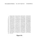 Anti-Mullerian Inhibiting Substance Type II Receptor (MISIIR) Immunoconjugates to Detect and Treat Cancer diagram and image