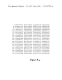 Anti-Mullerian Inhibiting Substance Type II Receptor (MISIIR) Immunoconjugates to Detect and Treat Cancer diagram and image