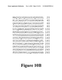 Anti-Mullerian Inhibiting Substance Type II Receptor (MISIIR) Immunoconjugates to Detect and Treat Cancer diagram and image