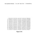 Anti-Mullerian Inhibiting Substance Type II Receptor (MISIIR) Immunoconjugates to Detect and Treat Cancer diagram and image