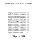 Anti-Mullerian Inhibiting Substance Type II Receptor (MISIIR) Immunoconjugates to Detect and Treat Cancer diagram and image