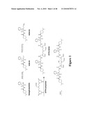 Mechanism-Based Targeted Pancreatic Beta Cell Imaging and Therapy diagram and image