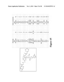 Mechanism-Based Targeted Pancreatic Beta Cell Imaging and Therapy diagram and image