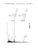 Mechanism-Based Targeted Pancreatic Beta Cell Imaging and Therapy diagram and image