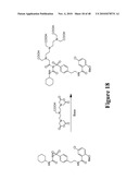 Mechanism-Based Targeted Pancreatic Beta Cell Imaging and Therapy diagram and image