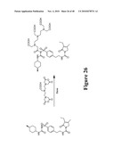 Mechanism-Based Targeted Pancreatic Beta Cell Imaging and Therapy diagram and image