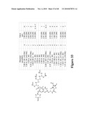 Mechanism-Based Targeted Pancreatic Beta Cell Imaging and Therapy diagram and image