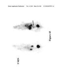 Mechanism-Based Targeted Pancreatic Beta Cell Imaging and Therapy diagram and image