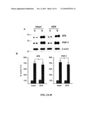 METHODS FOR TREATMENT AND PREVENTION OF TAUOPATHIES AND AMYLOID BETA AMYLOIDOSIS BY MODULATING CRF RECEPTOR SIGNALING diagram and image