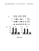 METHODS FOR TREATMENT AND PREVENTION OF TAUOPATHIES AND AMYLOID BETA AMYLOIDOSIS BY MODULATING CRF RECEPTOR SIGNALING diagram and image