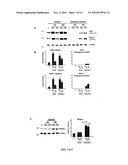 METHODS FOR TREATMENT AND PREVENTION OF TAUOPATHIES AND AMYLOID BETA AMYLOIDOSIS BY MODULATING CRF RECEPTOR SIGNALING diagram and image