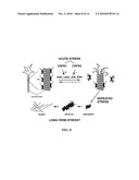 METHODS FOR TREATMENT AND PREVENTION OF TAUOPATHIES AND AMYLOID BETA AMYLOIDOSIS BY MODULATING CRF RECEPTOR SIGNALING diagram and image