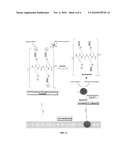 COMPOUNDS FOR FLUORESCENCE IMAGING diagram and image