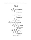 Peptides having activities of insulin like growth factor-1 and their uses diagram and image