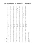 FUSION MOLECULES AND IL-15 VARIANTS diagram and image