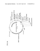 FUSION MOLECULES AND IL-15 VARIANTS diagram and image