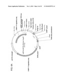 FUSION MOLECULES AND IL-15 VARIANTS diagram and image