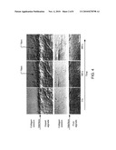 METHODS AND SYSTEMS FOR FORMING BIOCOMPATIBLE MATERIALS diagram and image