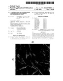 Alzheimer s Disease Diagnosis Based on Mitogen-Activated Protein Kinase Phosphorylation diagram and image