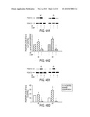 Alzheimer s Disease Diagnosis Based on Mitogen-Activated Protein Kinase Phosphorylation diagram and image