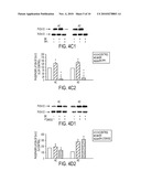 Alzheimer s Disease Diagnosis Based on Mitogen-Activated Protein Kinase Phosphorylation diagram and image