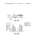 Alzheimer s Disease Diagnosis Based on Mitogen-Activated Protein Kinase Phosphorylation diagram and image