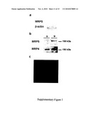 Inhibitors of MRP4 for the Treatment of Vascular Disorders diagram and image