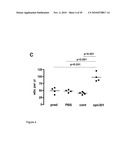 COMPOUNDS AND METHODS FOR THE TREATMENT OF RENAL DISEASE diagram and image