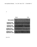 COMPOUNDS AND METHODS FOR THE TREATMENT OF RENAL DISEASE diagram and image