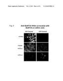 Designer Ubiquitin Ligases For Regulation Of Intracellular Pathogenic Proteins diagram and image