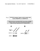 Designer Ubiquitin Ligases For Regulation Of Intracellular Pathogenic Proteins diagram and image