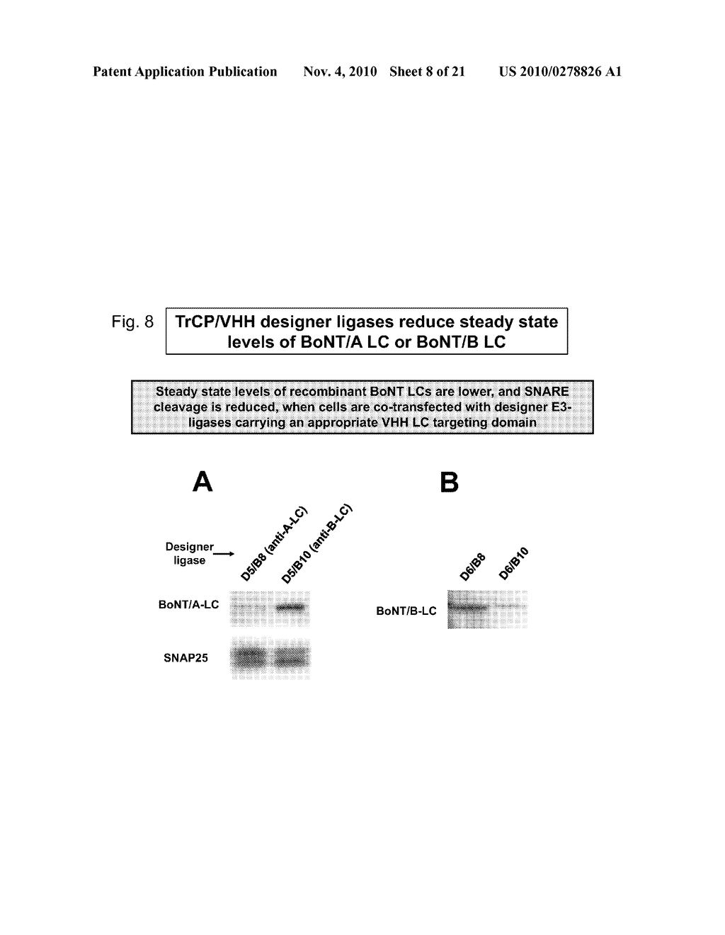 Designer Ubiquitin Ligases For Regulation Of Intracellular Pathogenic Proteins - diagram, schematic, and image 09