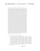 Designer Ubiquitin Ligases For Regulation Of Intracellular Pathogenic Proteins diagram and image