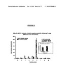 TUMOR ANTIGEN BFY3 FOR PREVENTION AND/OR TREATMENT OF CANCER diagram and image