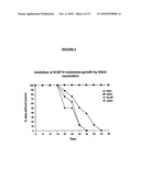 TUMOR ANTIGEN BFY3 FOR PREVENTION AND/OR TREATMENT OF CANCER diagram and image