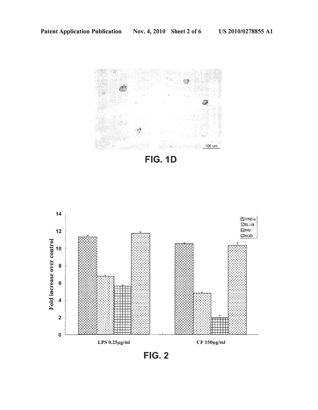 NEUROPROTECTIVE GANODERMA COMPOSITIONS AND METHODS OF USE - diagram, schematic, and image 03