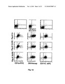 Dendritic Cell Binding Proteins and Uses Thereof diagram and image