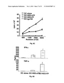 Dendritic Cell Binding Proteins and Uses Thereof diagram and image