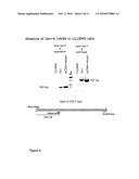 Reoviruses diagram and image