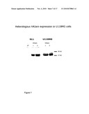 Reoviruses diagram and image