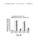 STIMULATION OF ANTI-TUMOR IMMUNITY USING DENDRITIC CELL/TUMOR CELL FUSIONS AND ANTI-CD3/CD28 diagram and image