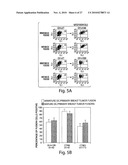 STIMULATION OF ANTI-TUMOR IMMUNITY USING DENDRITIC CELL/TUMOR CELL FUSIONS AND ANTI-CD3/CD28 diagram and image