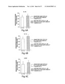 STIMULATION OF ANTI-TUMOR IMMUNITY USING DENDRITIC CELL/TUMOR CELL FUSIONS AND ANTI-CD3/CD28 diagram and image