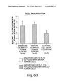 STIMULATION OF ANTI-TUMOR IMMUNITY USING DENDRITIC CELL/TUMOR CELL FUSIONS AND ANTI-CD3/CD28 diagram and image